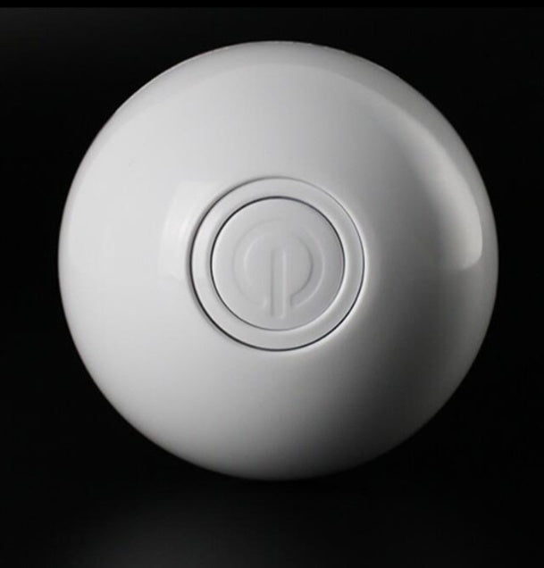 Automatic Rolling Pet Toy