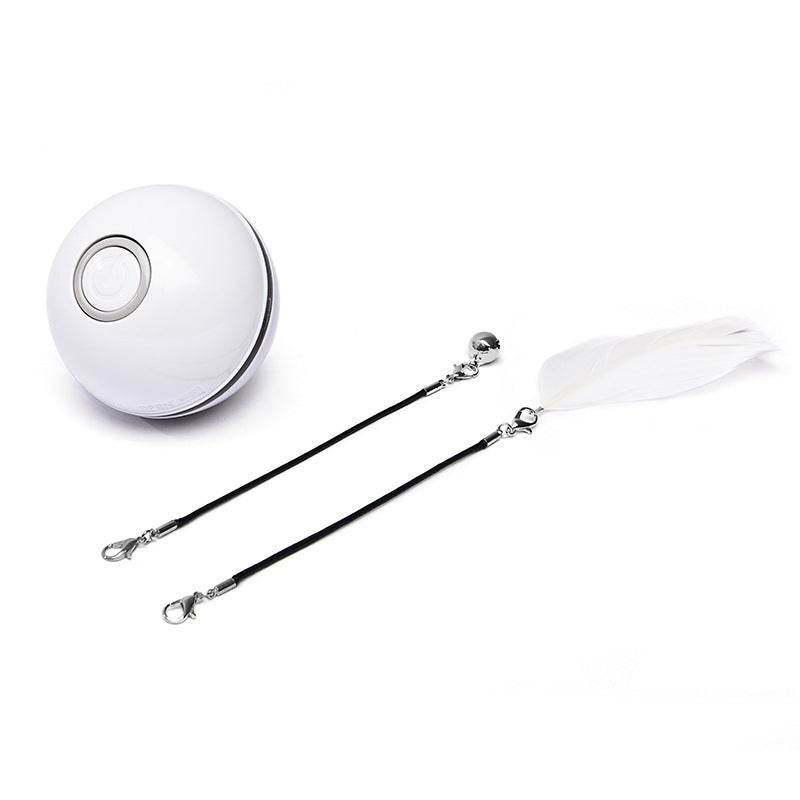 Automatic Rolling Pet Toy