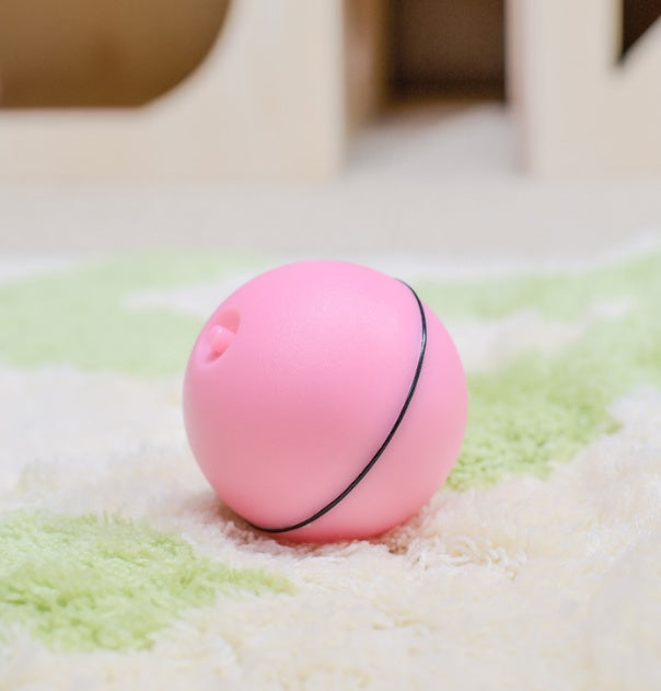 Automatic Rolling Pet Toy