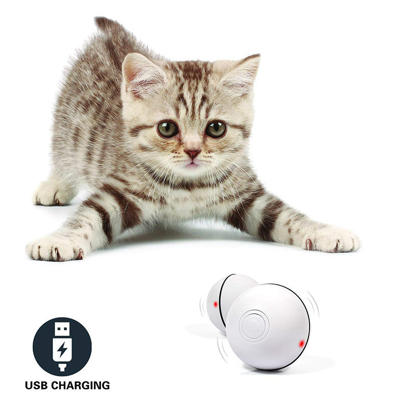 Automatic Rolling Pet Toy