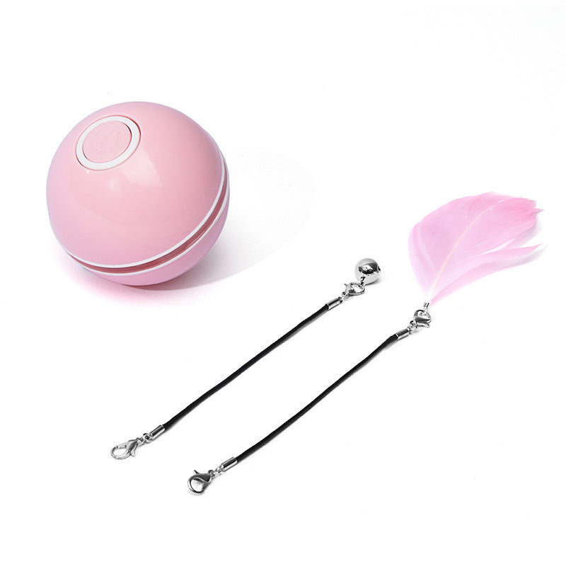 Automatic Rolling Pet Toy
